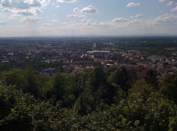 Trail On foot Unknown - WaldWelt - Photo