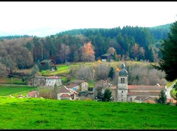 Tour Wandern Saint-Clément-de-Vers - 2022-03-11_13h37m50_saint_clement_de_vers_les_fayards_12.7_km - Photo