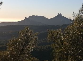 Tour Wandern Malaucène - col de la chaîne  - Photo