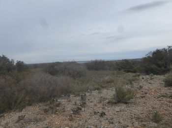 Trail Walking Caves - Caves la boucle de la garrigue - Photo