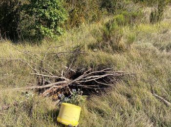 Tocht Stappen Andon - Canaux  - Photo