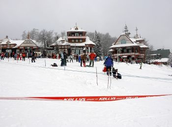 Percorso A piedi Prostřední Bečva - NS Radegast - Photo