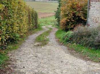 Randonnée Marche Mettet - Mettet 141122 - Photo