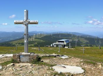 Randonnée A pied Gemeinde Spital am Semmering - Wanderweg 6 - Photo