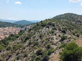 Percorso A piedi La Garde-Freinet - Fort Freinet-la Garde-Freinet-02-06-23 - Photo