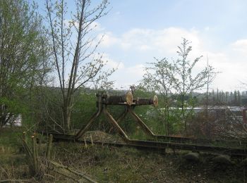 Tocht Te voet Dransfeld - Rundwanderweg Dransfeld 16 - Photo