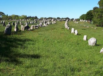 Excursión Senderismo Carnac - alignements de Carnac au 21 mai 2019 - Photo