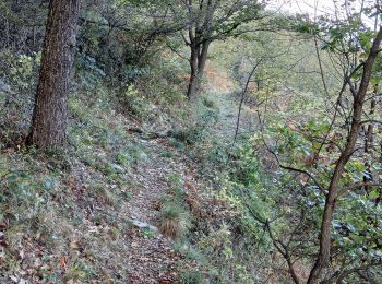 Excursión Senderismo La Bastide - coll de palomere - Photo