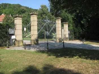 Trail On foot Rothenburg ob der Tauber - Rothenburger W9 - Bettwar - Photo