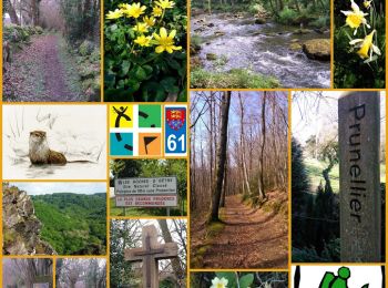 Excursión Geocaching Saint-Philbert-sur-Orne - Circuit des Roches - Photo