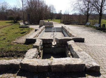 Tour Zu Fuß Treuchtlingen - Streuobst-Erlebnis-Weg - Photo