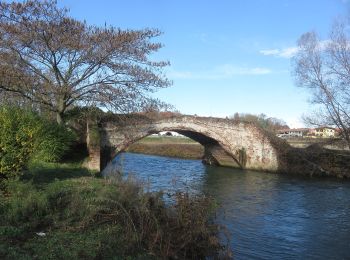 Randonnée A pied Briona - Sentiero Novara tappa 1 - Photo