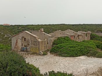 Tocht Hybride fiets Bonifacio - Bonifacio - Photo