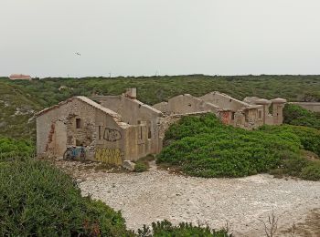 Tocht Hybride fiets Bonifacio - Bonifacio  - Photo