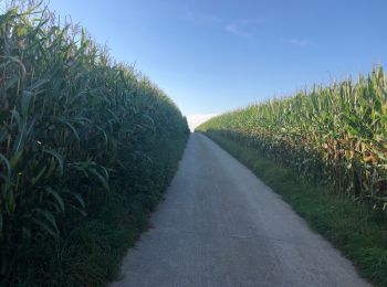 Randonnée Vélo de route Heers - Monumentenroute Heers (PVDB) - Photo