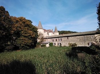 Tocht Stappen Quincié-en-Beaujolais - Quincie en Beaujolais 69430 - Photo