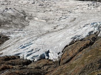 Tocht Te voet Innertkirchen - Sustenpass - Voralphütte - Photo