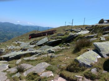 Trail Walking Ascain - la Rhune - Photo