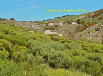 Tour Wandern Génolhac - Les Bouzèdes - Photo