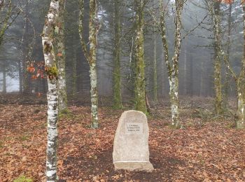 Tocht Stappen La Nouaille - la boucle du Puy Riau - Photo