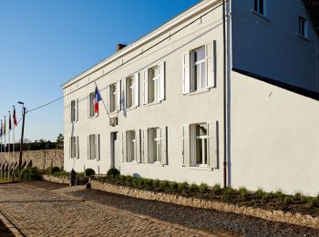 Tocht Stappen Eigenbrakel - Promenade 1815 - Photo
