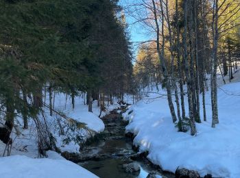 Tour Schneeschuhwandern Bellefontaine - Bellefontaine,roche devant, les Gentianes - Photo