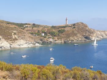 Excursión Senderismo Portbou - Sentier du Littoral : Cerbère à Port-Vendres - Photo