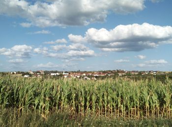 Tour Wandern Dehlingen - Dehlingen Etting Schmittviller - Photo