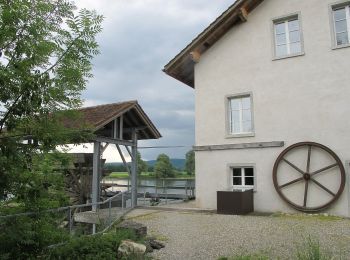 Trail On foot Bad Zurzach - Barz Fähre - Koblenzer Laufen - Photo