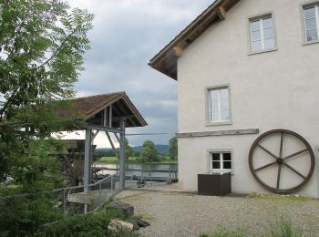 Tocht Te voet Bad Zurzach - Barz Fähre - Koblenzer Laufen - Photo