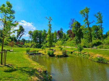 Randonnée Marche Beauraing - Balade dans le Parc du Castel à Beauraing - Photo