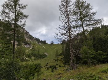 Randonnée A pied Rosenau am Hengstpaß - Wanderweg 39 - Photo