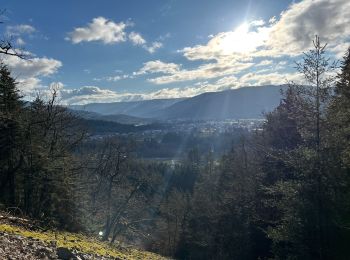 Tocht sport Vagney - Haut du Tôt - Sapois - Photo