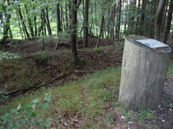 Percorso A piedi Marburg - Strumpfweg - Photo