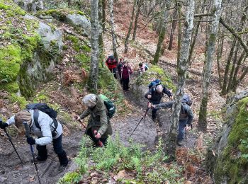 Randonnée Marche Champcueil - Beauvais par la Padole - Photo