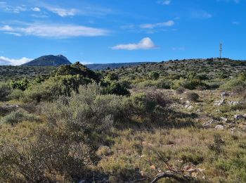 Tour Wandern Feuilla - Feuilla ( aude )Pech del Touch ou de l Ayre .A/R - Photo