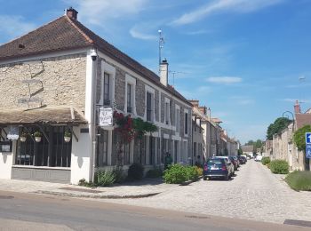 Randonnée Marche Saint-Fargeau-Ponthierry - Ppnthierry-barbizon-Bois le Roi - Photo