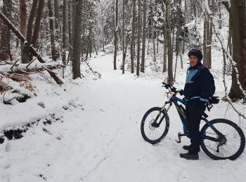 Randonnée V.T.T. Seyssins - Seyssins - Poussebou en vttae dans la neige - Photo