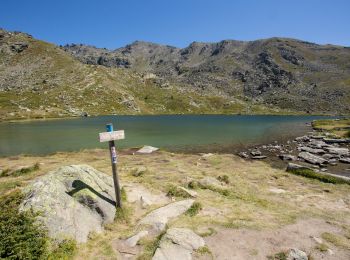 Percorso Marcia Névache - Lac Laramon - Refuge Ricou - Photo