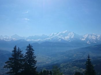 Randonnée Marche Cordon - Grand Croisse Baulet  - Photo