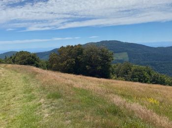 Randonnée Marche Soultz-Haut-Rhin - Autour de Grand Ballon - Photo