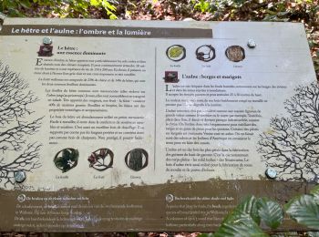 Trail Walking Ottignies-Louvain-la-Neuve - Bois de Lauzelle 6 km - Photo