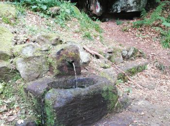 Randonnée Marche Saint-Nabor -  fontaine Sainte lucie - Photo