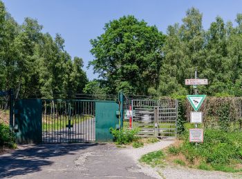 Percorso A piedi Brüggen - NSG Brachter Wald Wanderweg Weiß - Photo