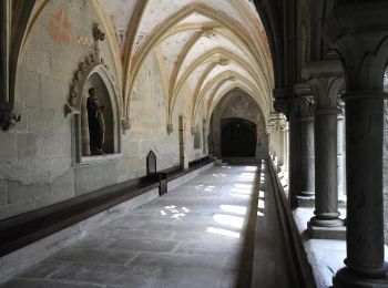 Percorso A piedi Hauterive (FR) - Grangeneuve - La Tuffière - Photo