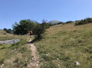 Tour Wandern Pescasseroli - Pescasseroli Opi Colle Alti 18 km - Photo