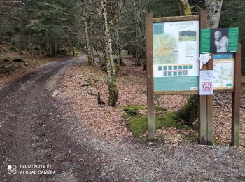 Randonnée Marche Herran - Balade Coume Paloumere - Photo