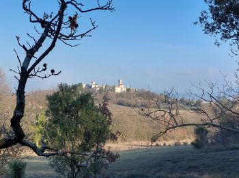 Randonnée Marche Espeluche - Espeluche Montagne de la Serie 7km500 - Photo