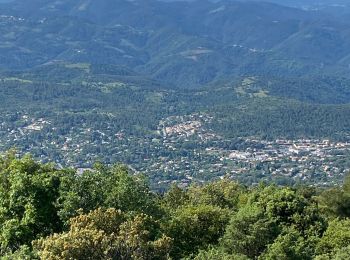 Tocht Stappen Cabris - Croix de cabris  - Photo