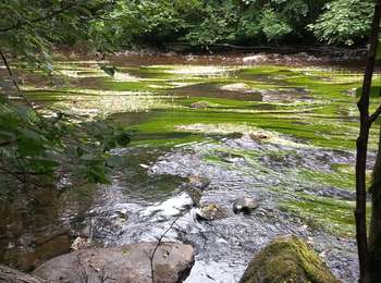 Tour Wandern Libin - Lesse et Lomme (variante) jour 1/3 - Photo